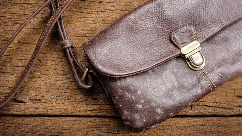 آشنایی با روش از بین بردن کپک کیف چرم در خانه